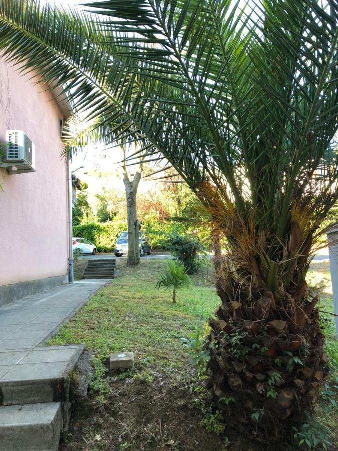 Apartmajsko Naselje Zusterna Apartment โคเปร์ ภายนอก รูปภาพ